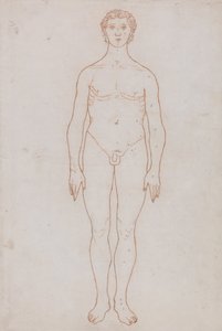 Een Vergelijkende Anatomische Expositie van de Structuur van het Menselijk Lichaam met die van een Tijger en een Co... door George Stubbs